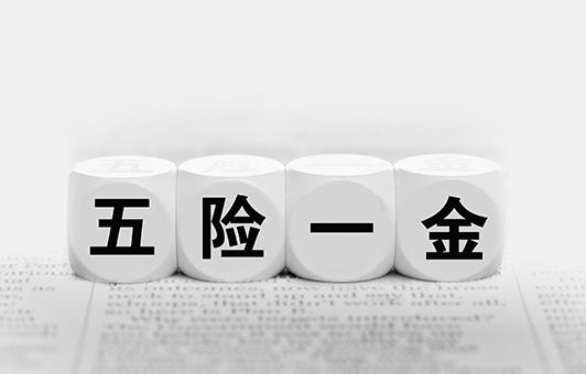 金牛版网站资料